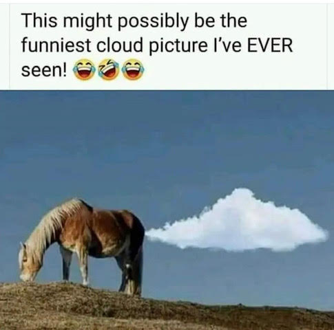 Horse -- Fart Cloud