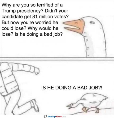 TCfgfvR