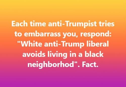 trumpist