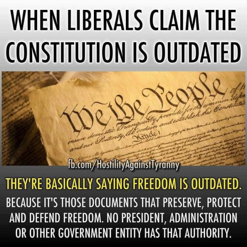 M Libs Constitution