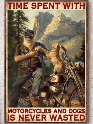 Bikes and dogs