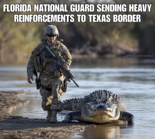 FL Reinforcements