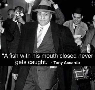 FB_IMG_1705082585197
