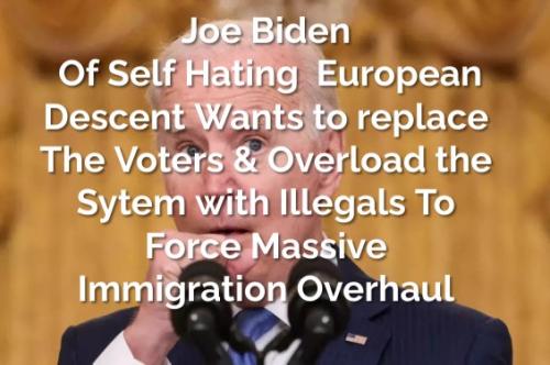 The Resident Joe Biden