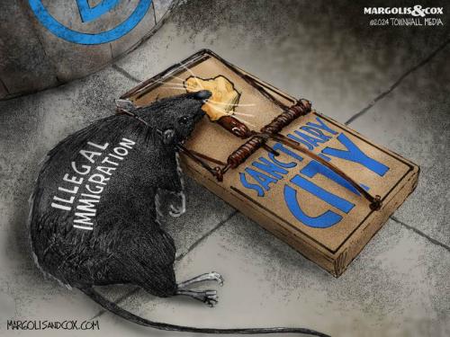 MC_RatTrap_web-800x0