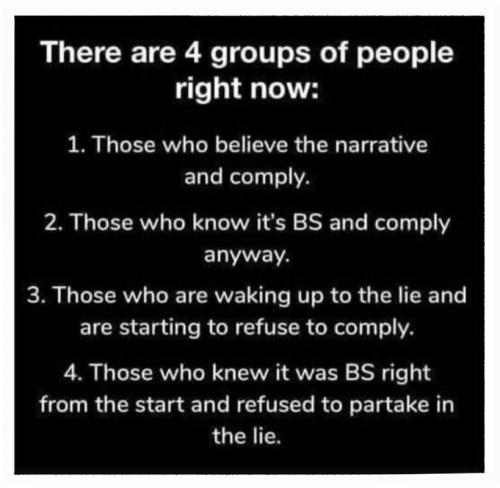 X 4 groups