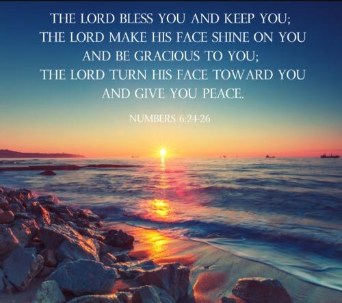 Screenshot_20231220-120051_DuckDuckGo