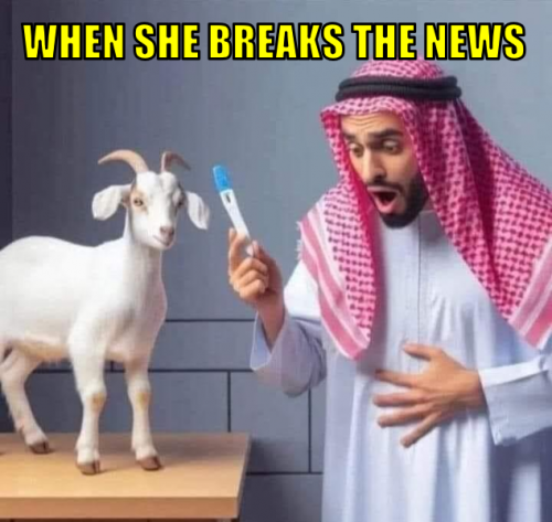 wsbtn