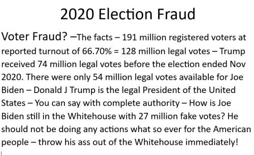 2020 voter frau1