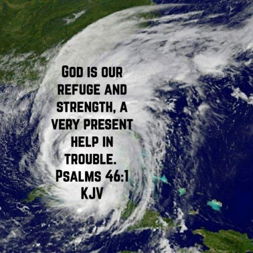 IMG_20240113_140352_290