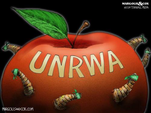 MC_UNRWA_013124-800x0