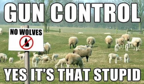 USA gun control