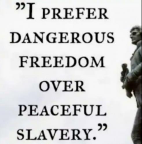 Screenshot_20240118-212041_Gallery