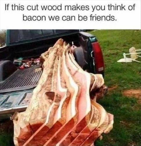 Wood bacon