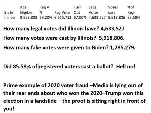 State Voterfraud illionois