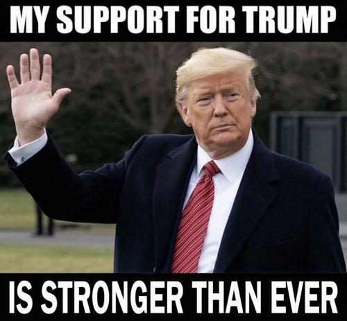 M Trump stronger