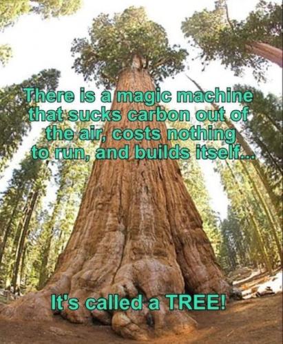 RO tree
