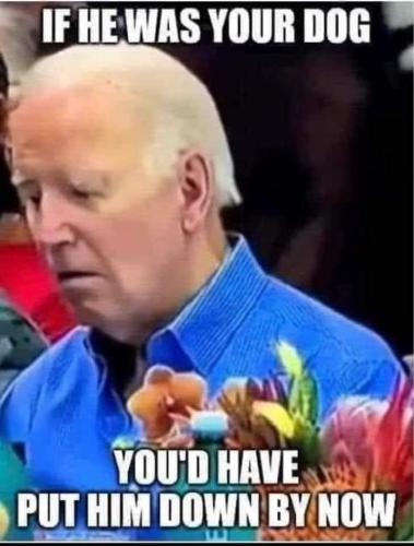 417442774_329686166647011_3294247922335349823_n