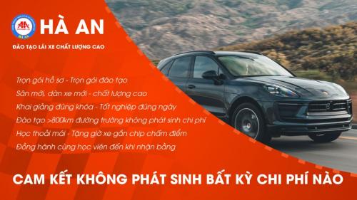 Banner-nguyen-duy
