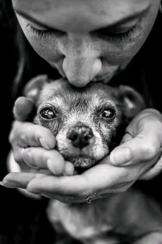 417760912_779002287599378_6832696701337721716_n