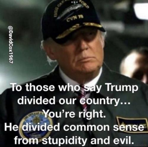 X divided stupidity evil