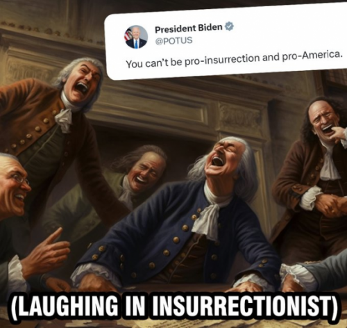 insurrection-my-ass