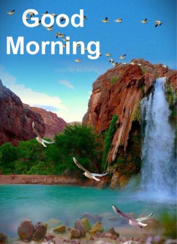 011824 - Flying South