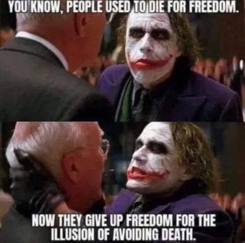 1000015668
