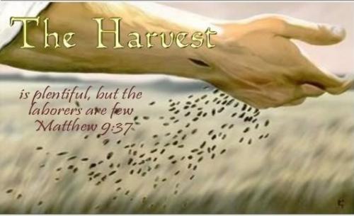 IMG_20240122_093241_733