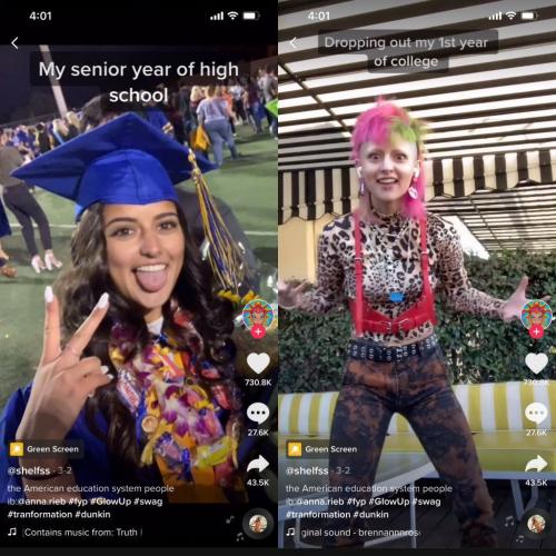 Feminism_Indoctrination1