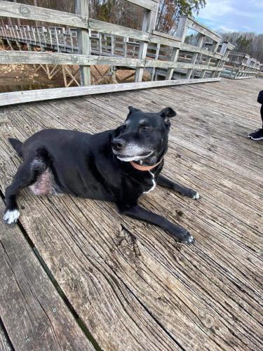 FB_IMG_1704844160454