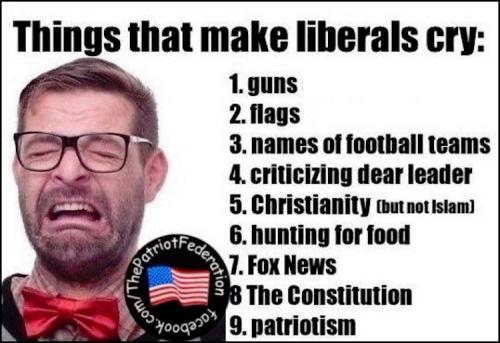 LiberalsCry-1346824657