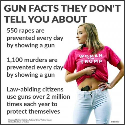 USA gun facts