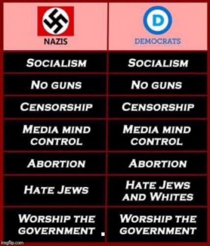 X Nazis Democrats