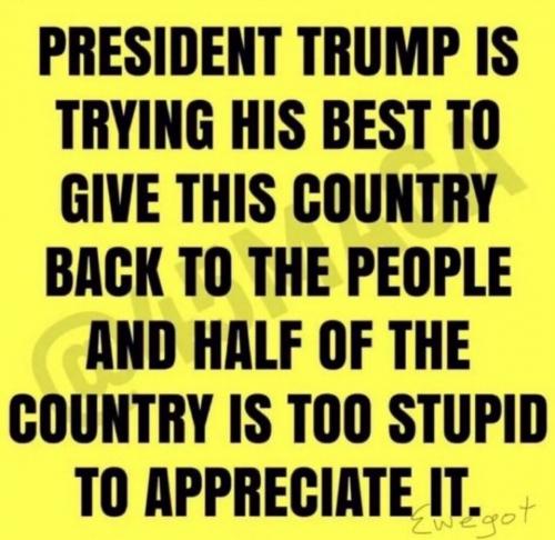 TRUMP IS TRYING   TS