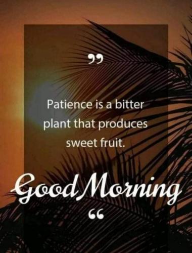 Patience