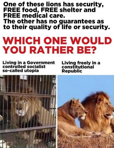 Which Would You Be