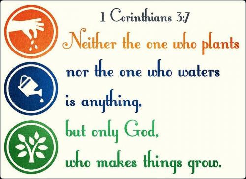 IMG_20240120_093541_331