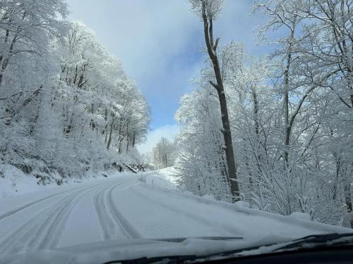 420637916_10224483704228778_194719604722340022_n