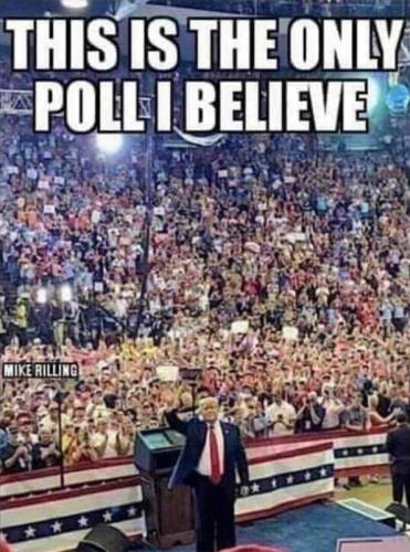 X only poll to believe