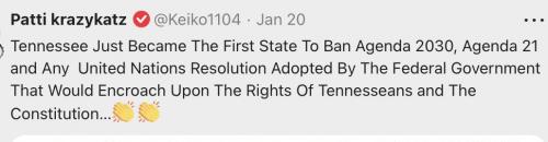 TN & constitution