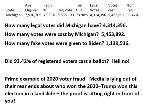 State Voterfraud Michigan
