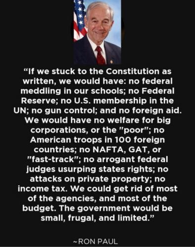 RON PAUL CONSTITUTION