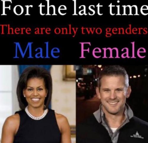 Screenshot_20240123-070558_Gallery