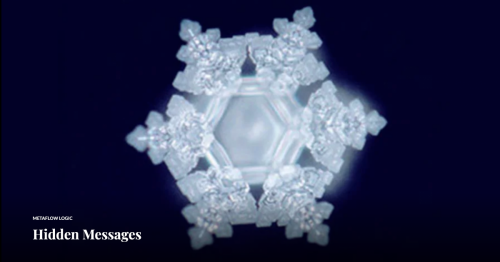 Screen Shot 2024-01-14 at 3.46.09 PM