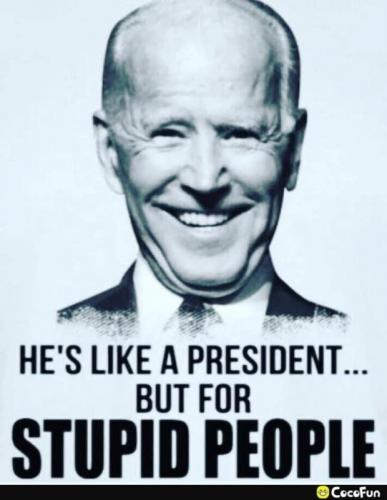 X for stupid people