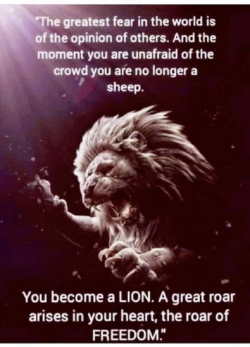 1651601398391_hub_od_