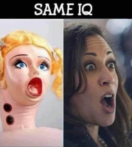 X same IQ