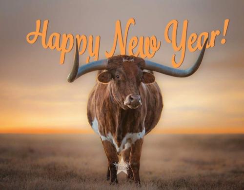 Happy New Year - Texas longhorn