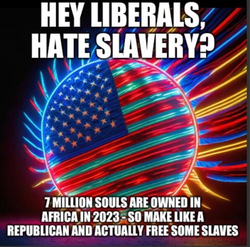 SLAVERY DEMOCRATS 2023